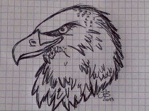 aquila